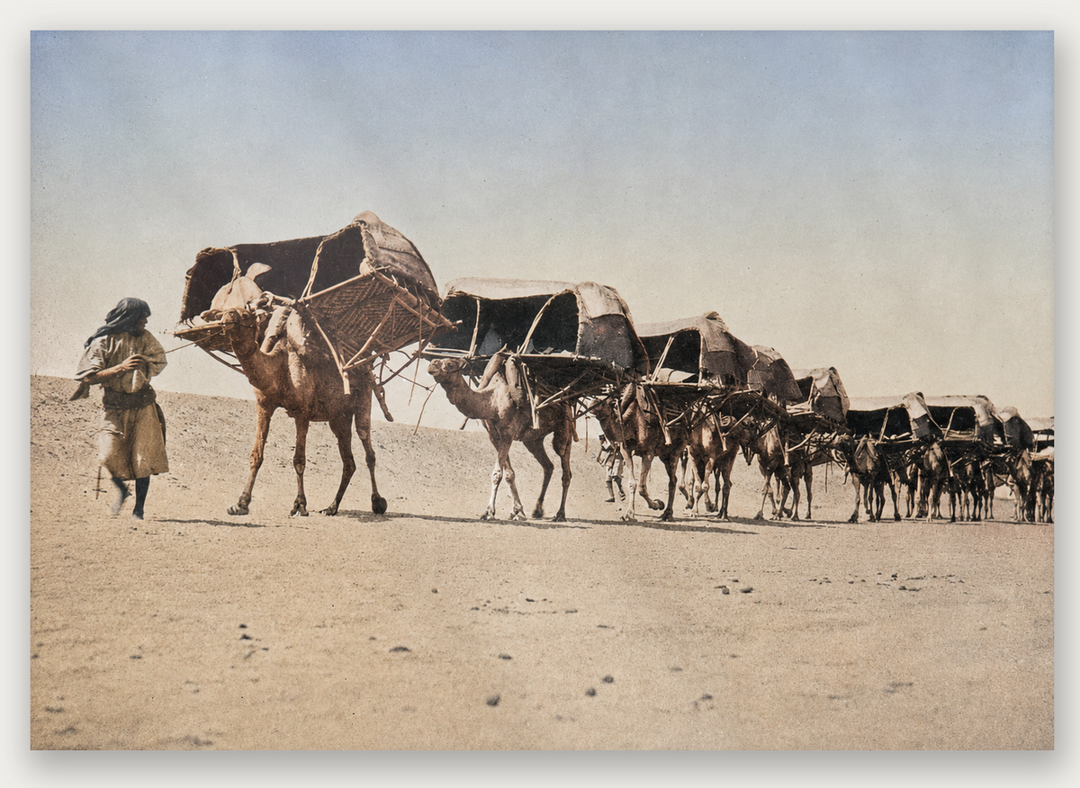 Caravan to Hajj — The Pilgrims’ Journey, A4 / Perspex